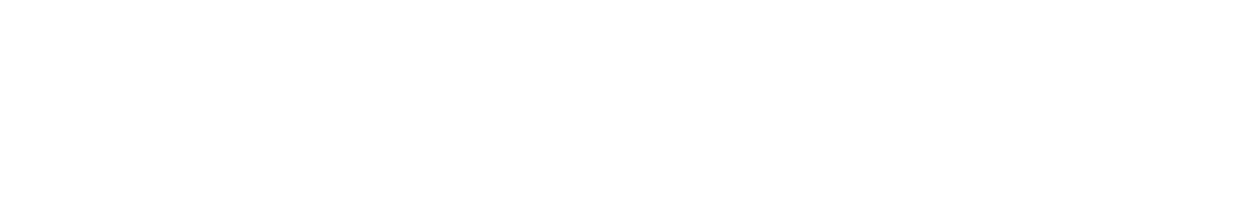 AI VALORI logo